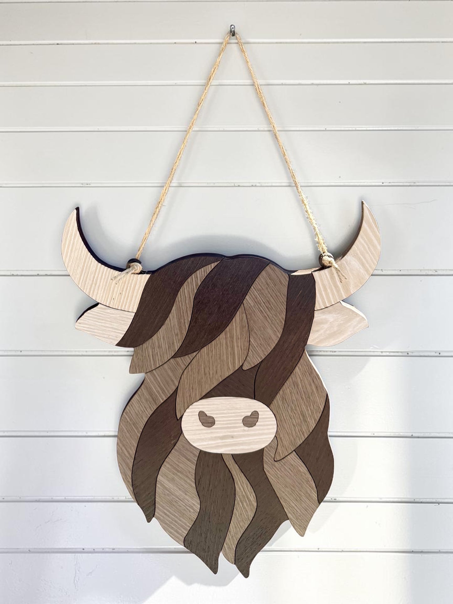 Highland Cow