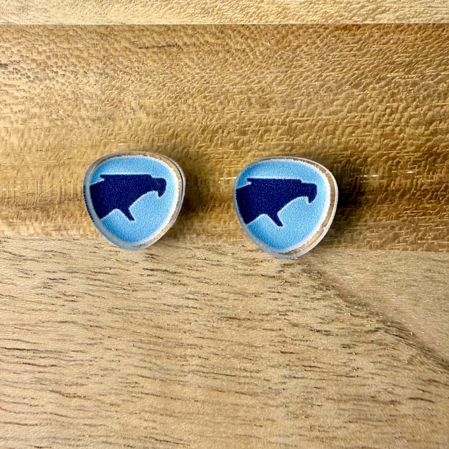 Clear Acrylic Band Logo Stud Earrings