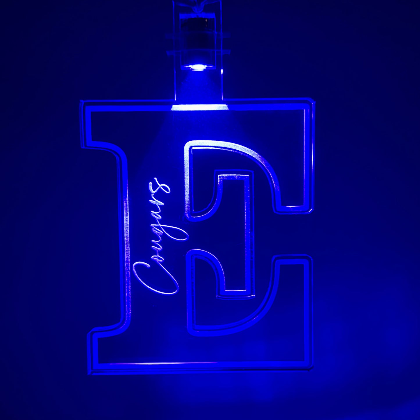 Edgewood "E" Ornament (Lighted)