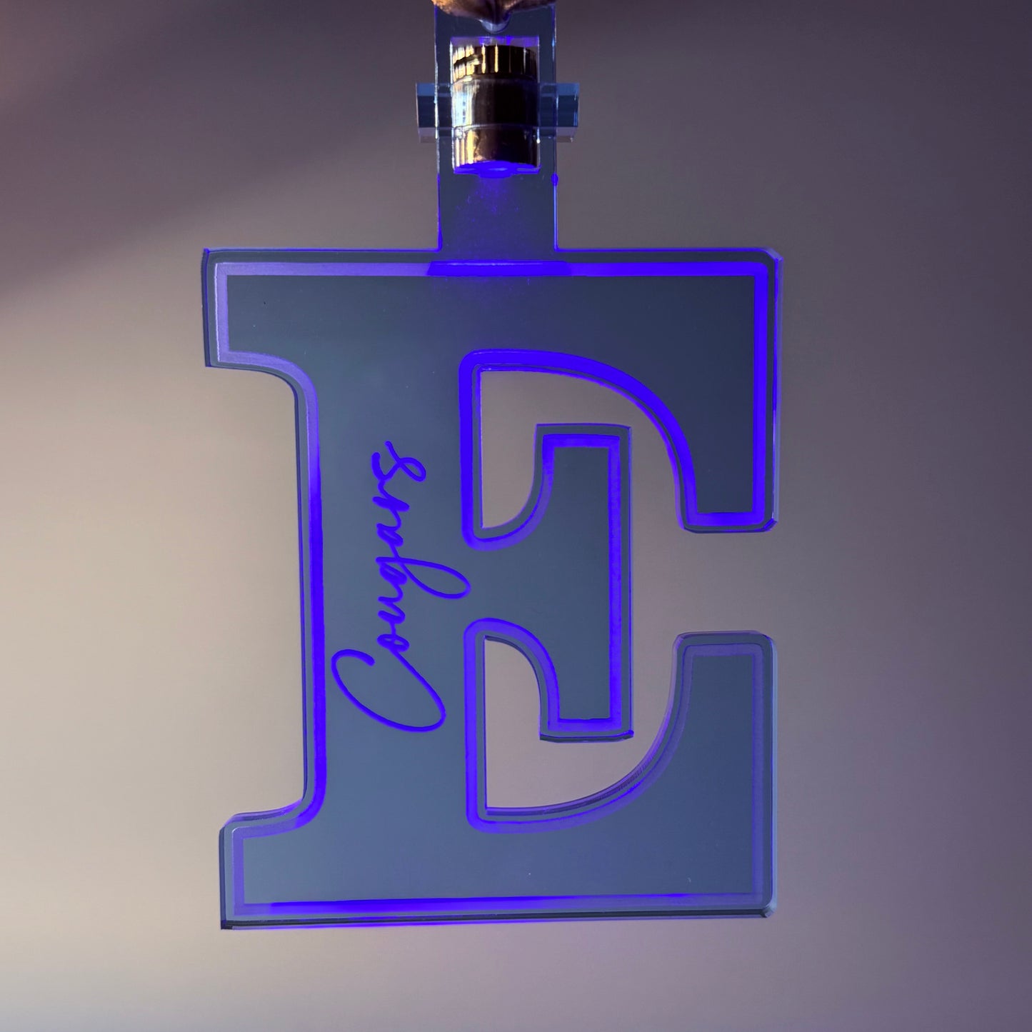 Edgewood "E" Ornament (Lighted)